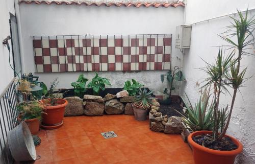 Merida Old Town Apartamento | Apartamentos San Salvador Parking Gratis AT-BA-00338