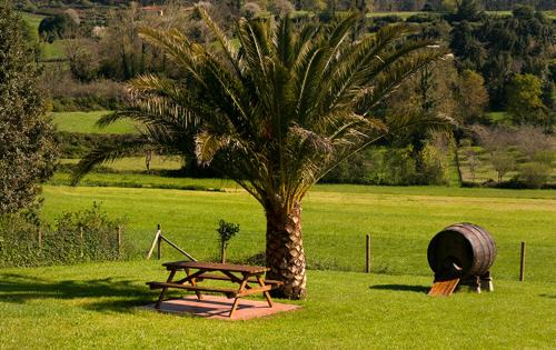 Priesca Apartamento | Apartamentos Vega Rodiles el llagar