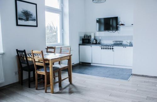 Kalisz Apartamento | Apartamenty Babina