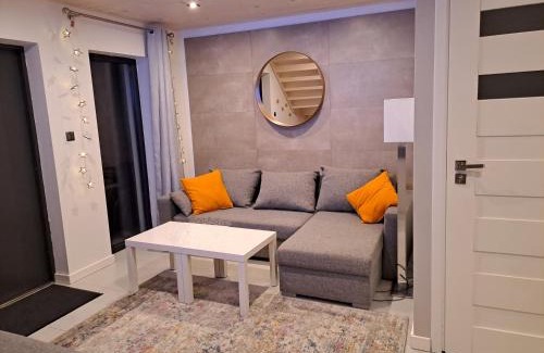 Okuninka Apartamento | Apartamenty Borówka