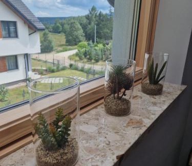 Polanica-Zdroj Apartamento | Apartamenty Bursztynowa