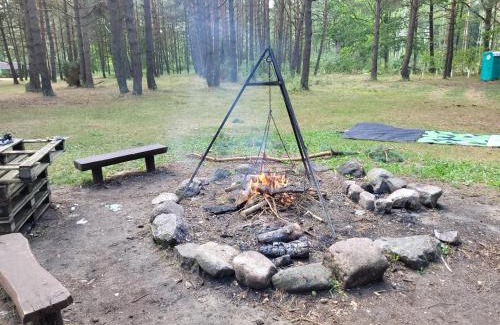Ostrow Wielki Apartamento | Apartamenty Cichosza