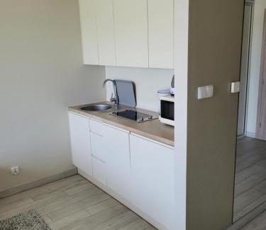 Stronie Slaskie Apartamento | Apartamenty Czarna Góra 33