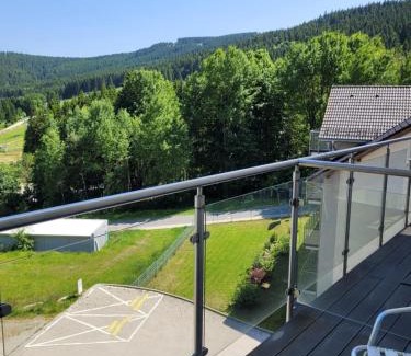 Stronie Slaskie Apartamento | Apartamenty Czarna Góra 33