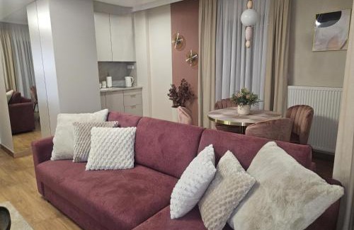 Jarocin Apartamento | Apartamenty Hallera 4