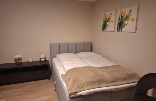Bystrzyca Kłodzka Apartamento | Apartamenty "Kotlina"