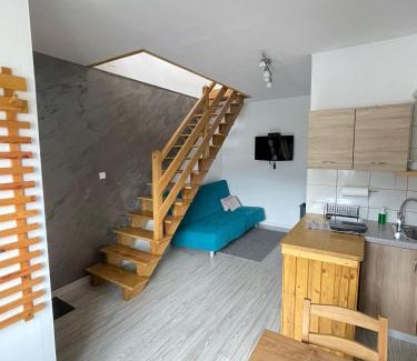 Muszyna Apartamento | Apartamenty Młynne