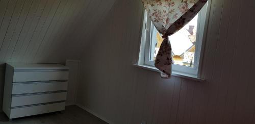 Nowecin Apartamento | Apartamenty Maja -Pokoje - Domy wakacyjne -Basen Podgrzewany -Jacuzzi