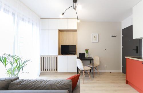 Pradnik Bialy Apartamento | Apartamenty Meiera