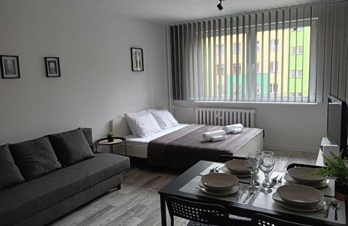 Oswiecim Apartamento | Apartamenty Oświęcim klimatyzacja air-conditioned