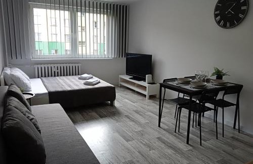 Oswiecim Apartamento | Apartamenty Oświęcim klimatyzacja air-conditioned