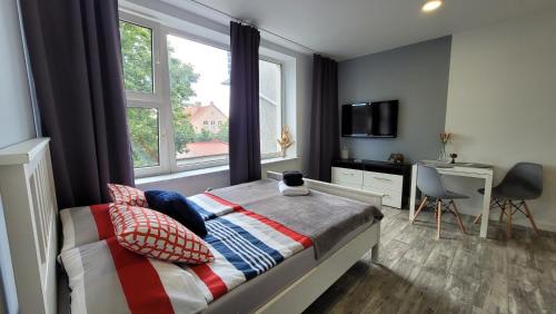 Kwidzyn Apartamento | Apartamenty Parkowe nr 6