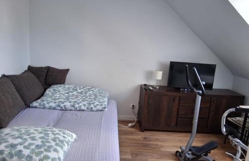 Olsztynek Apartamento | Apartamenty pod lipami
