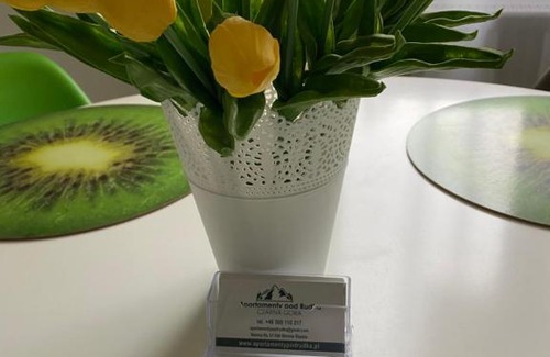 Sienna Apartamento | Apartamenty Pod Rudką Czarna Góra Agroturystyka