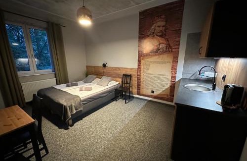 Inowlodz Apartamento | Apartamenty Rycerskie