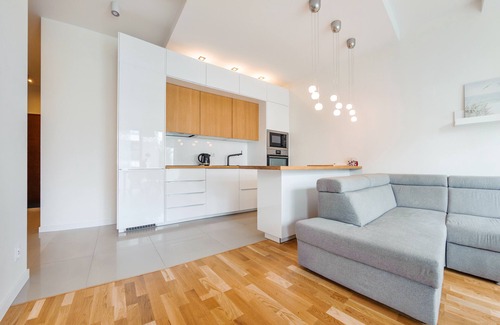 Dziaki Lesne Apartamento | Apartamenty Sun & Snow Nowe Orłowo
