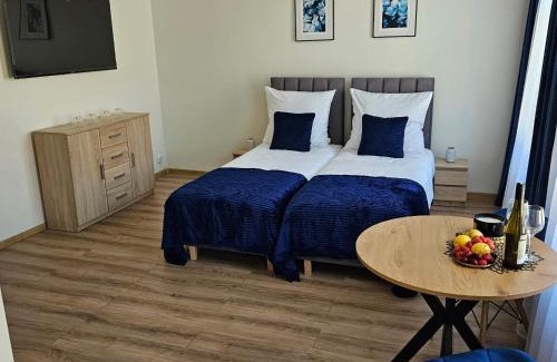 Dzialdowo Apartamento | Apartamenty Tadeusza Kościuszki 2 Szafirowy