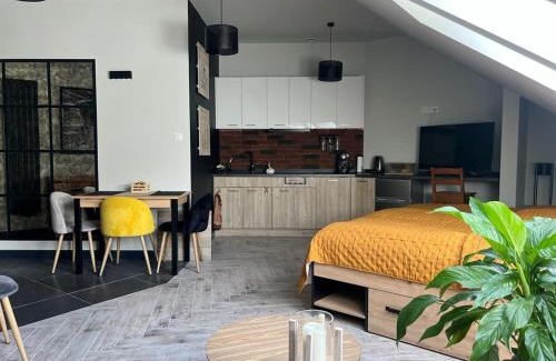 Charzykowy Apartamento | Apartamenty Terminal Charzykowy