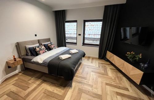 Pszczyna Apartamento | Apartamenty Warowna 2