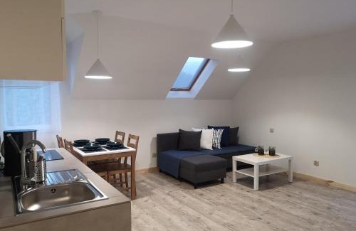 Zarnowica Apartamento | ApartDębki