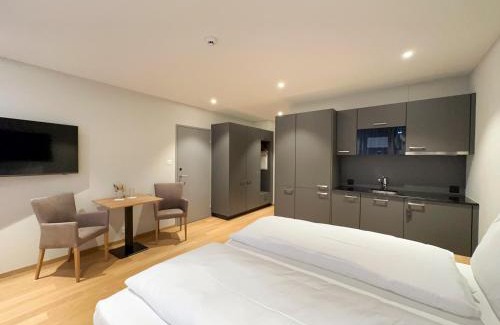 Beinwil am See Apartamento | Aparthotel Beinwil am See