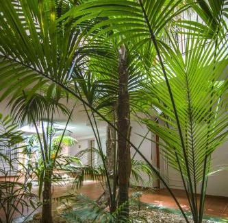 Chiclana de la Frontera Apartamento | Aparthotel las Dunas