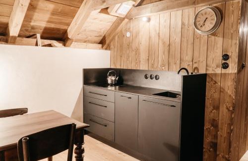 Horni Plana Apartamento | Aparthotel & Wellness Knížecí cesta