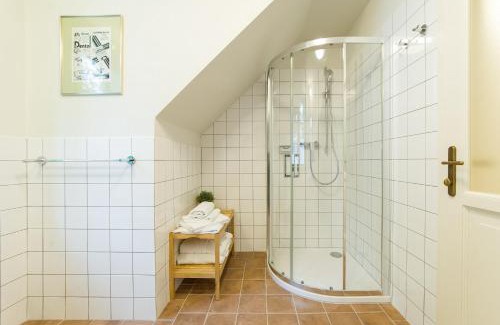 Horni Plana Apartamento | Aparthotel & Wellness Knížecí cesta