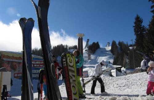 Strbske Pleso Apartamento | Apartmán Štrbské Pleso - Crocus 219