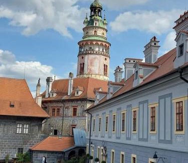 Frymburk Apartamento | Apartmán Žižka