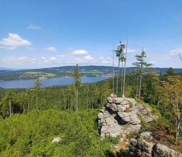 Frymburk Apartamento | Apartmán Žižka