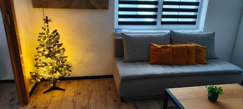 Vrbno pod Pradedem Apartamento | Apartmán 604