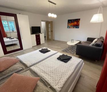 Tatranska Lomnica Apartamento | Apartmán AkoDoma