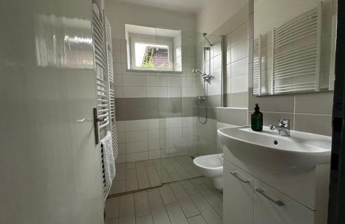 Nove Mesto na Morave Casa | Apartmán Aneta Nové Město na Moravě