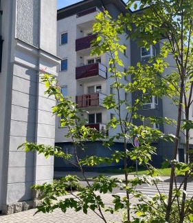 Vrchlabi Apartamento | Apartmán Any Vrchlabí