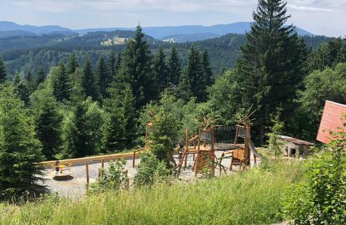 Stare Hamry Apartamento | Apartmán Bílý Kříž