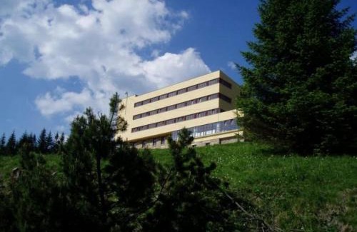 Stare Hamry Apartamento | Apartmán Bílý Kříž