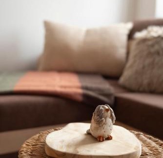 Decin Apartamento | Apartmán Bodenbach