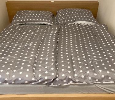 Zelezna Ruda Apartamento | Apartmán Brčálník Šumavské Stráně