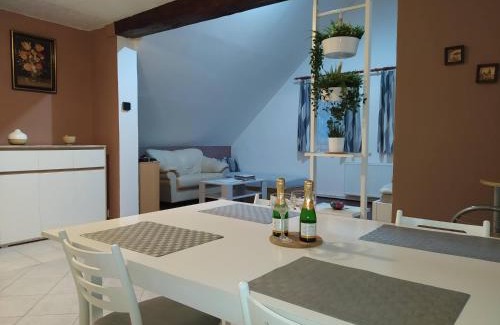 Ceska Kamenice Apartamento | Apartmán Frank