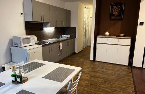 Ceska Kamenice Apartamento | Apartmán Frank