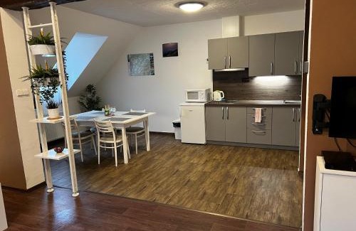 Ceska Kamenice Apartamento | Apartmán Frank