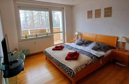 Vysoke Tatry Apartamento | Apartmán Gerlach - 4 balconies mountain view