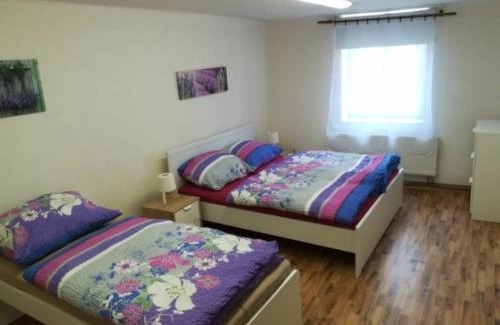 Havlickuv Brod Apartamento | Apartmán HB
