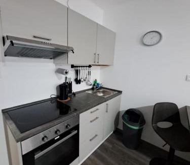 Ostrov Apartamento | Apartmán Helena pod Klínovcem