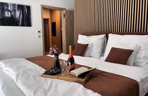 Vrchlabi Apartamento | Apartmán Herlíkovice 303