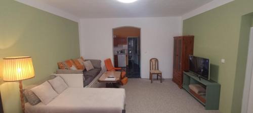 Horni Slavkov Casa | Apartmán Horní Slavkov Hodinářství
