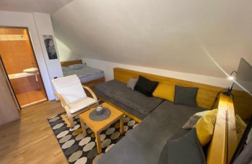 Letohrad Apartamento | Apartmán Ivko