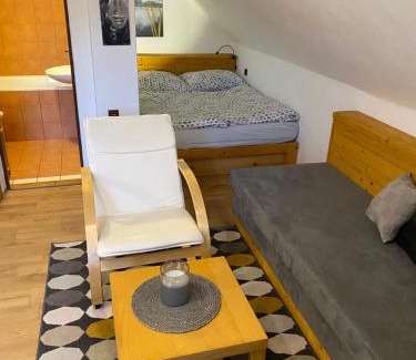 Letohrad Apartamento | Apartmán Ivko