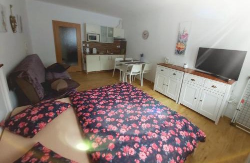 Lipno nad Vltavou Apartamento | Apartmán JaFi Lipno nad Vltavou